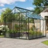 Vitavia Serre de jardin en verre