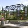 Vitavia Serre de jardin en verre Noir 11.5m²
