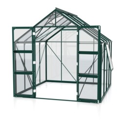Vitavia Serre de jardin en verre Vert 6.7m²