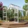 Vitavia Serre de jardin en verre Gris 8.3m²