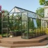 Vitavia Serre de jardin en verre Vert 11.5m²