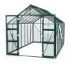 Vitavia Serre de jardin en verre Vert 11.5m²