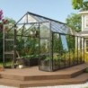 Vitavia Serre de jardin en verre Noir 11.5m²