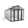 Vitavia Serre de jardin en verre Noir 11.9m²