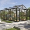 Vitavia Serre de jardin en verre Noir 15.7m²