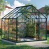 Vitavia Serre de jardin en verre Vert 6.7m²