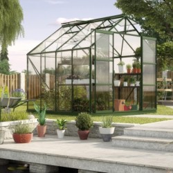 Vitavia Serre de jardin en verre Vert 6.7m²