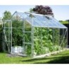 Vitavia Serre de jardin en verre Aluminium 9.9m²