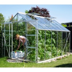 Vitavia Serre de jardin en verre Aluminium 9.9m²