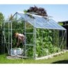 Vitavia Serre de jardin en verre Aluminium 9.9m²