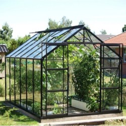 Vitavia Serre de jardin en verre Noir 9.9m²
