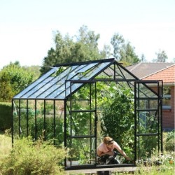 Vitavia Serre de jardin en verre Noir 9.9m²