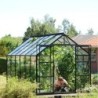 Vitavia Serre de jardin en verre Noir 9.9m²