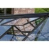 Vitavia Serre de jardin en verre Noir 9.9m²