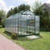 Vitavia Serre de jardin en polycarbonate Vert 11.5m²