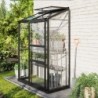 Vitavia Serre adossée Noir 0.9m²
