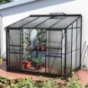 Vitavia Serre adossée Noir 5.2m²