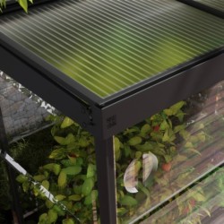 Canopia by Palram Serre de jardin en polycarbonate Noir 0.6m²