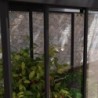 Canopia by Palram Serre de jardin en polycarbonate Noir 0.6m²