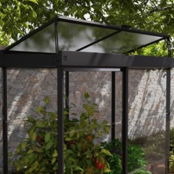 Canopia by Palram Serre de jardin en polycarbonate Noir 0.6m²