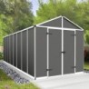 Canopia by Palram Abri de jardin résine Polycarbonate Gris 13.67m²