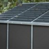 Canopia by Palram Abri de jardin résine Polycarbonate Gris 13.67m²