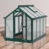 Vitavia Mini serre de jardin Vert 0.83m²
