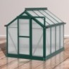 Vitavia Mini serre de jardin Vert 0.83m²
