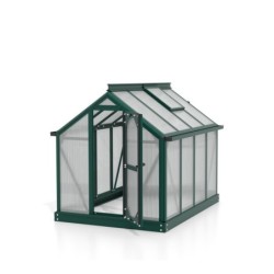 Vitavia Mini serre de jardin Vert 0.83m²