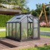 Vitavia Mini serre de jardin Noir 0.83m²