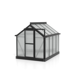 Vitavia Mini serre de jardin Noir 0.83m²