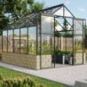 Vitavia Serre de jardin en verre Noir 8.3m²