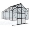 Vitavia Serre de jardin en verre Noir 8.3m²