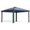 Canopia by Palram Carport double Aluminium Gris 17.8m²