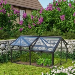 Vitavia Mini serre de jardin Noir 1m²