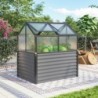 Vitavia Mini serre de jardin Gris 1m²