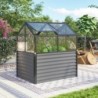 Vitavia Mini serre de jardin Gris 1m²
