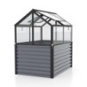 Vitavia Mini serre de jardin Gris 1m²