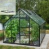 Halls Serre de jardin en verre Noir 9.9m²