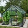 Halls Serre de jardin en verre Noir 9.9m²