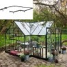 Halls Serre de jardin en verre