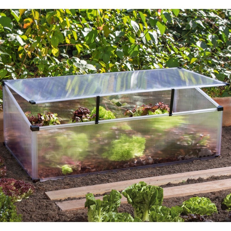 Vitavia Mini serre de jardin Vitavia Mini serre de jardin