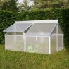 Vitavia Mini serre de jardin Gris 1m²