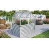 Vitavia Mini serre de jardin Gris 1m²
