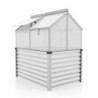 Vitavia Mini serre de jardin Gris 1m²