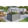 Vitavia Mini serre de jardin Noir 1m²