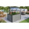 Vitavia Mini serre de jardin Noir 1m²