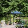 Halls Serre de jardin en verre Noir 6.3m²