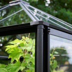 Halls Serre de jardin en verre Noir 6.3m²