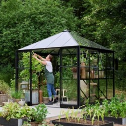 Halls Serre de jardin en verre Noir 6.3m²